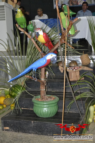 afotorm